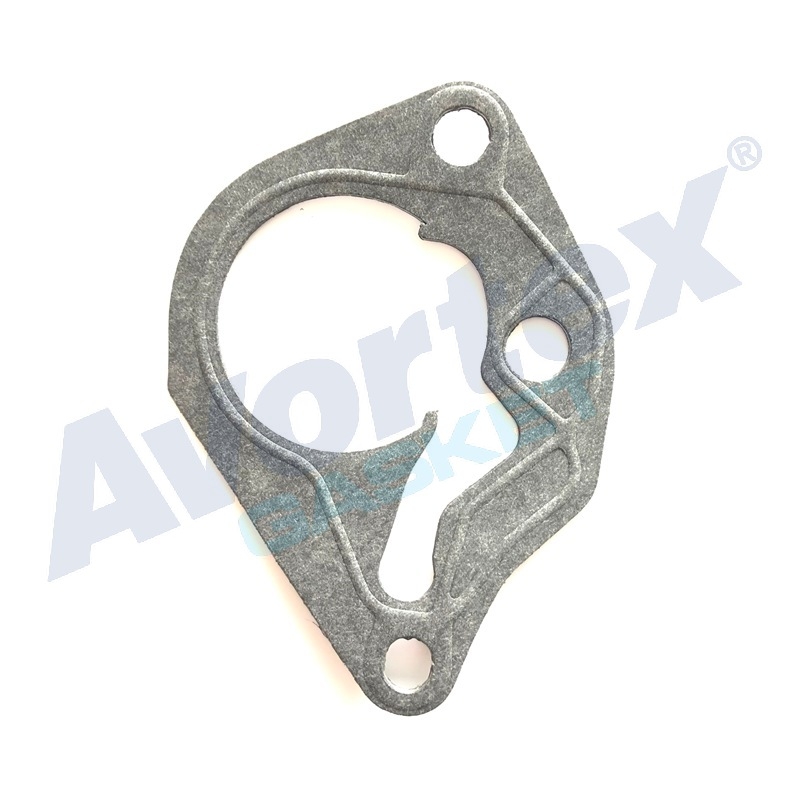 Vaccum Pump Gasket