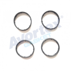 İntake  Manifold Gasket 