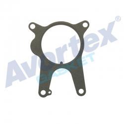 Vaccum Pump Gasket