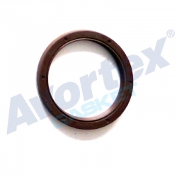 Crankshaft Oil Seal ( rear)