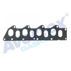 Manifold Gasket