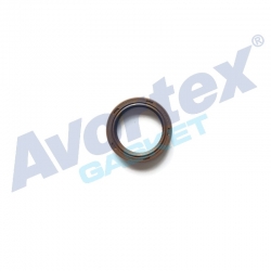 Crankshaft Oil Seal ( front)