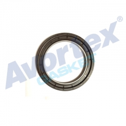 Crankshaft Oil Seal ( rear)