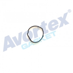 Oil Plus Gasket