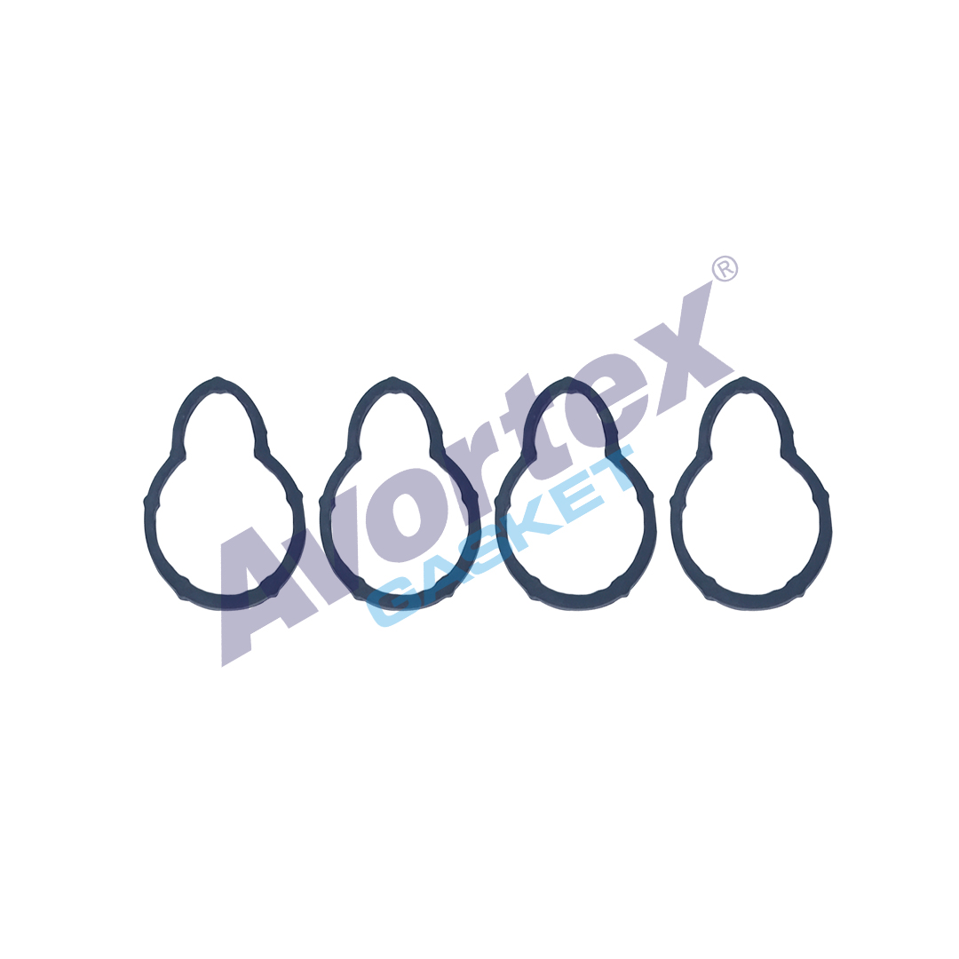 Emme Manifold Conta